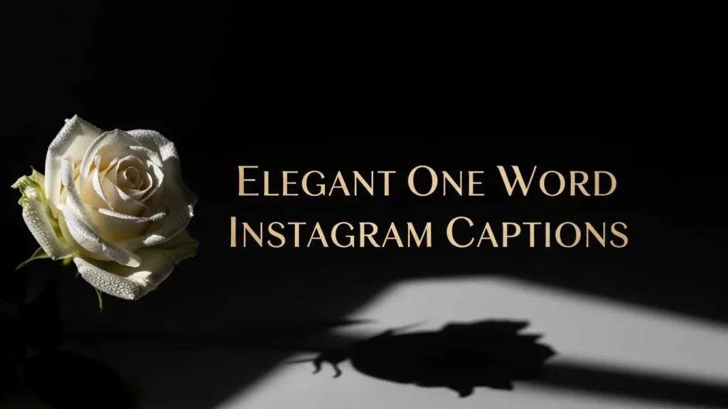 Elegant One Word Instagram Captions