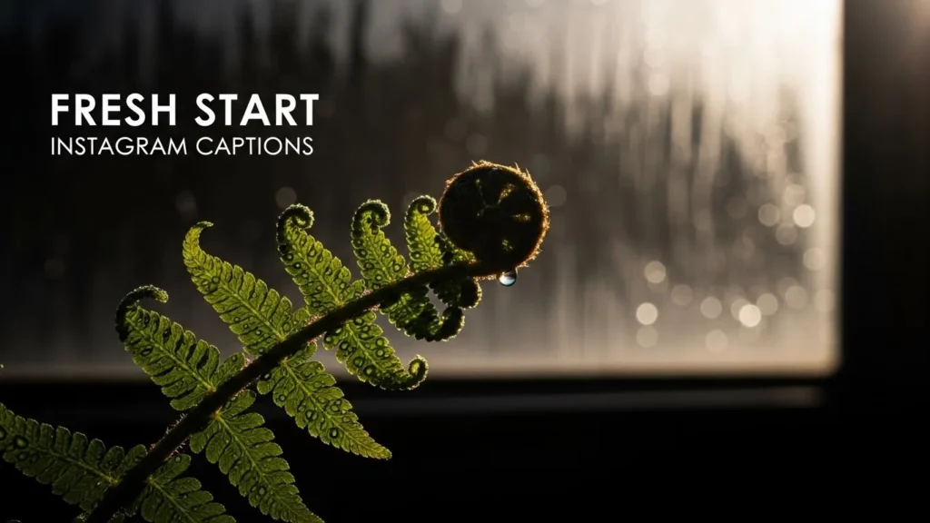 Fresh Start Instagram Captions