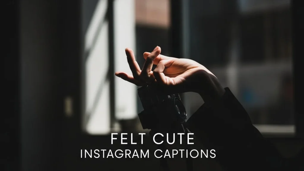Felt Cute Instagram Captions
