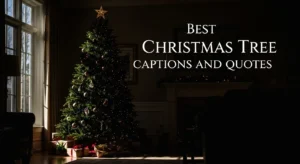 Best Christmas Tree Captions and Quotes