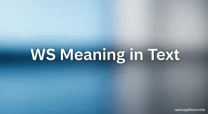 WS Meaning in Text