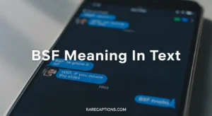 BSF Meaning in Text