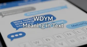WDYM Meaning in Text